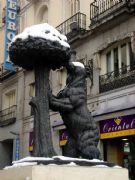 Neve no madroo