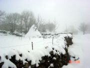Hacina de hierba. Rbago (Hererias), Cantabria