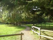 JARDIN BOTANICO DE BERTIZ