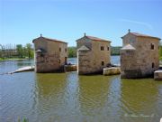Molinos del Duero I