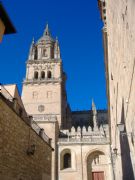 Catedral Vieja de Salamanca. Salamanca, Castilla y Len