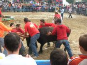 Feria Valdelacalzada. Vaquillas