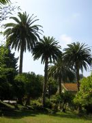 Jardn Botnico de Lourizn. Pontevedra, Galicia