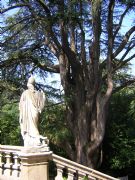 Jardn Botnico de Lourizn. Pontevedra, Galicia