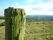 Paisajes y lquenes. A Braa (A Fonsagrada), Lugo