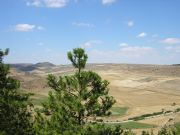 Campos de Castilla. Medinaceli, Soria