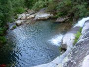 Meln, el ro cerves