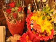 Rosas