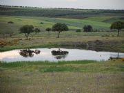 Espejo en los campos Extremeos