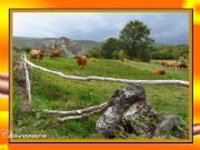 Corzos-A Veiga. A Veiga, Orense