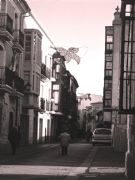 Paseando. Zamora, Castilla y Len