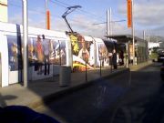 Tranvia Tenerife, Islas Canarias