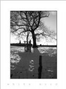 SOMBRAS EN LA NIEVE