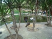 El Parque de Guardamar, Alicante