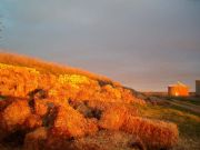 Paja y palomar. Revilla de Campos, Palencia