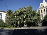 El Barrilito. M�laga, Andaluc�a