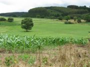 Paisaje