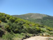 La Sierra Piemula
