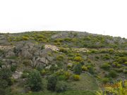 La Solanilla