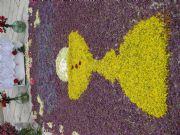 Alfombra de flores
