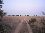 Paseando por La Alcarria. Atardecer otoal 2007