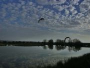 Lagunas de Villaffila, Zamora