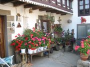 Rincon florido. Espinosa de Bricia, Cantabria