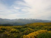 Sierra de Gredos, Avila