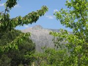Pinajarro. Hervs, Cceres