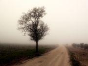 La Niebla. Herencia, Ciudad Real