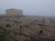 Casa de Labranza. Herencia, Ciudad Real