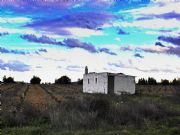 Color Blanco. Herencia, Ciudad Real