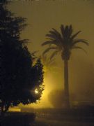 Parque de Hervs con niebla. Hervs, Cceres