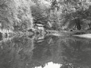 coto el cuende (gibaja)