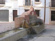 Oj�n, M�laga