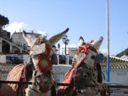 Mijas. Pueblo de los Burros Taxi. Mijas, Málaga
