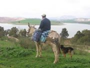 Pastor y su Perro. Pantano del Chorro, Málaga