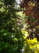 Jardinillos. Palencia.