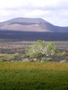 Crater. Lanzarote, Las Palmas