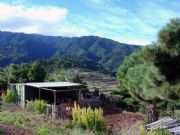 Llano de Tenagua desde mi Granja. Tenagua, Santa Cruz de Tenerife