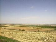 LLanuras Manchegas. Balazote, Albacete