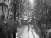 Bajo la nieve. Ir�n, Guip�zcoa