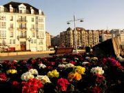 Flores en Puertochico. Santander, Cantabria
