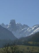 Naranjo de Bulnes