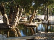 Parque municipal de Elche