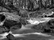 Torrent des Freu o Coanegra Orient, Mallorca