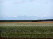 Campo de Palencia