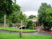 Maana de primavera