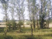 Espectacular. Osona, Soria