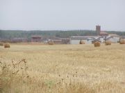 La Serna (Palencia)